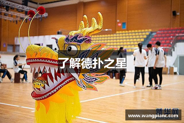 了解德扑之星